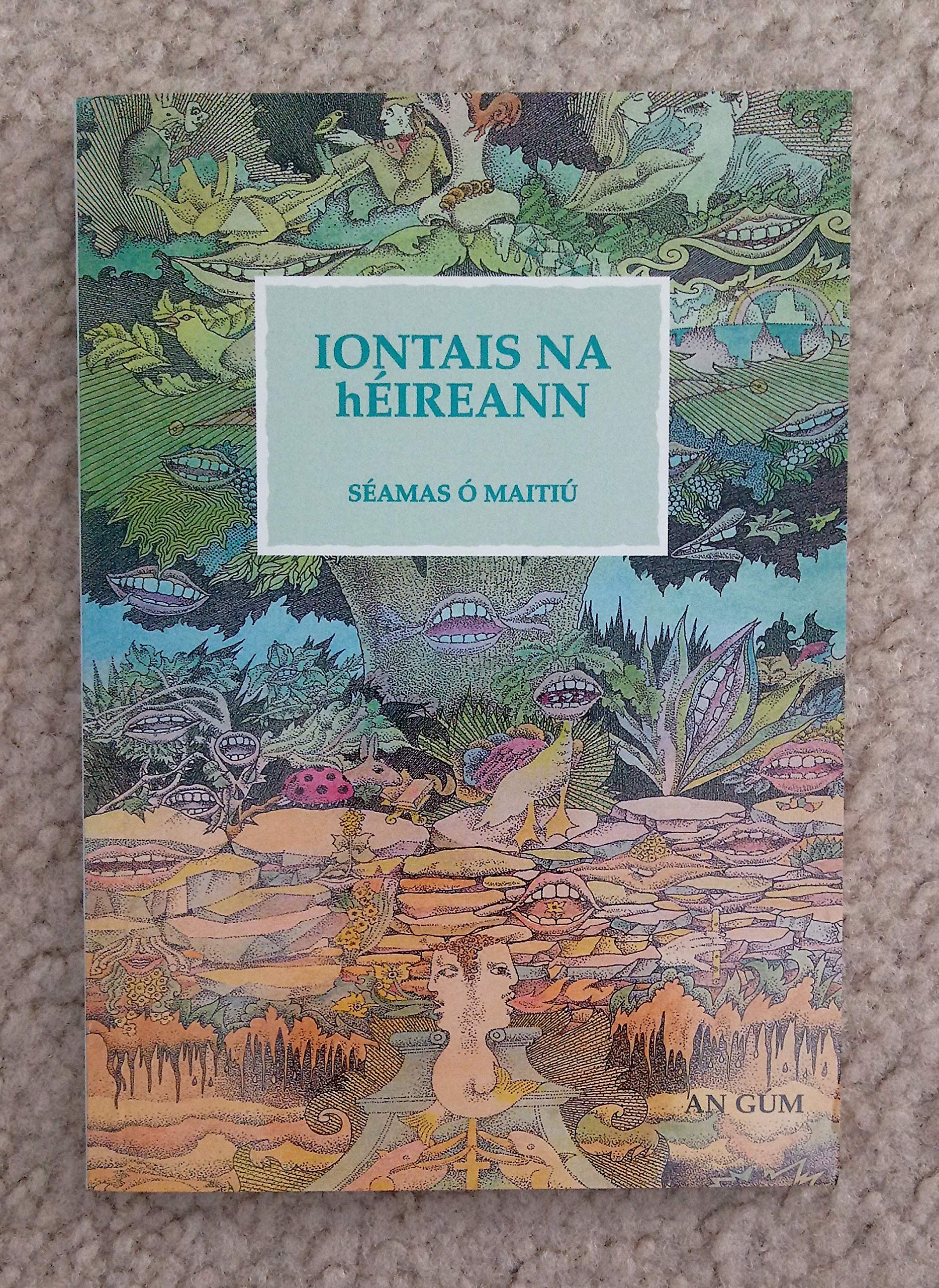 Iontais Na Heireann Learning & Reference