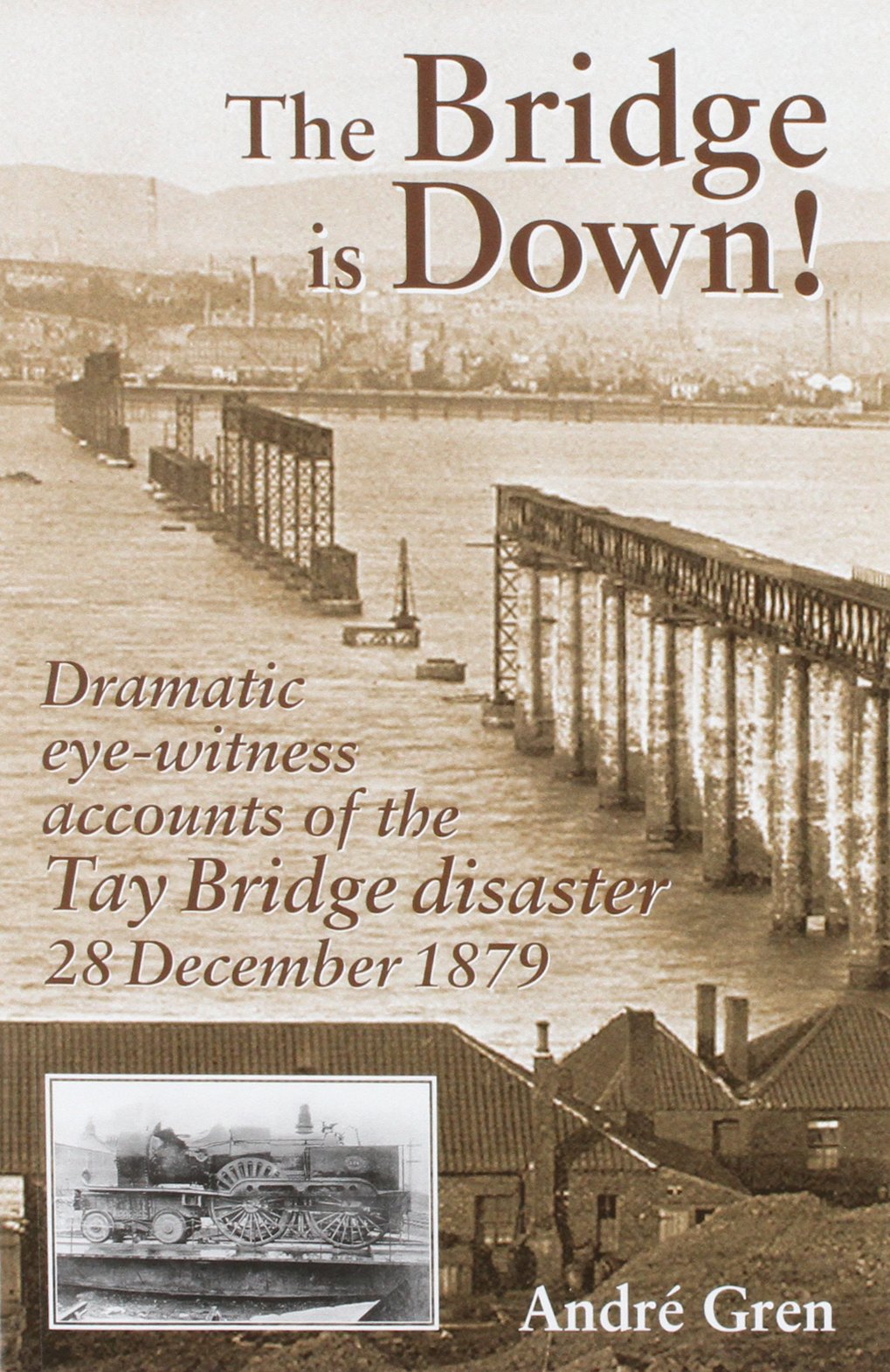 The Bridge is Down!: Dramatic Eye-Witness Accounts of the Tay Bridge Disaster 28 December 1879 book