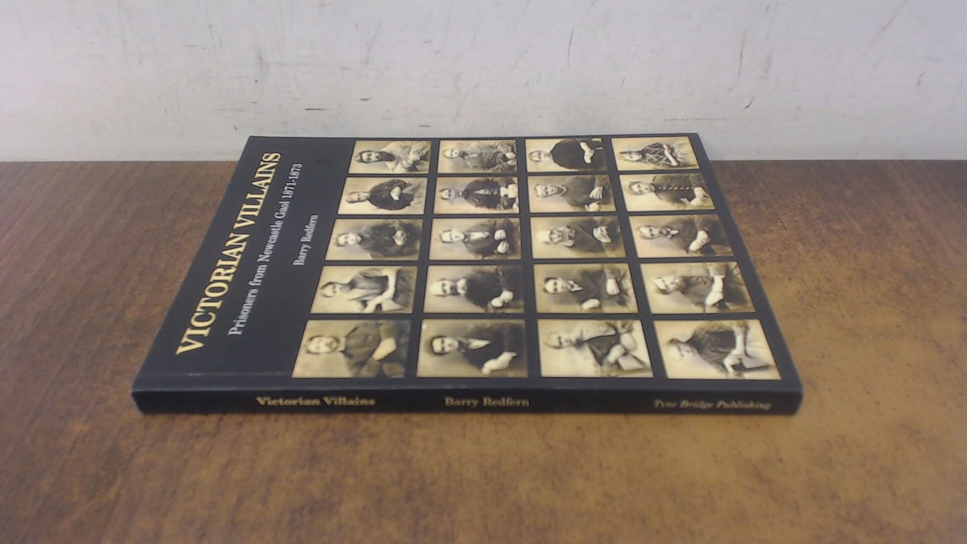 Victorian Villains: Prisoners from Newcastle Gaol 1871-1873 book