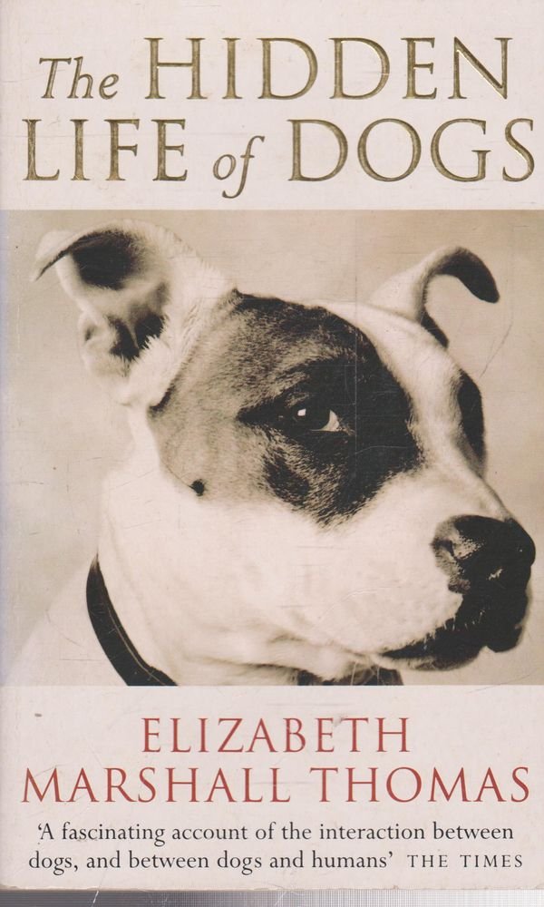 The Hidden Life of Dogs Pets