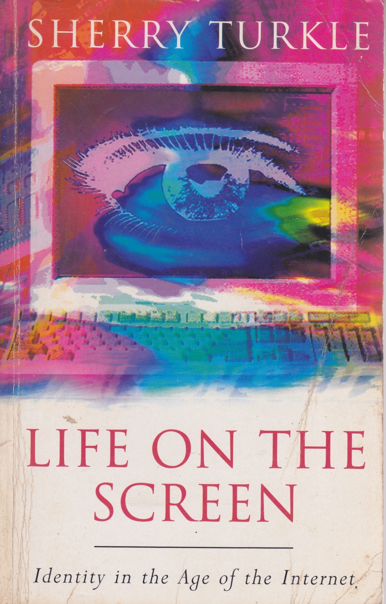 Life on the Screen: Identity in the Age of the Internet Computer Science