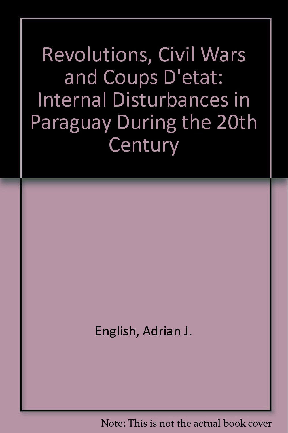 Revolutions, Civil Wars and Coups D'etat: Internal Disturbances in Paraguay During the 20th Century Politics & History