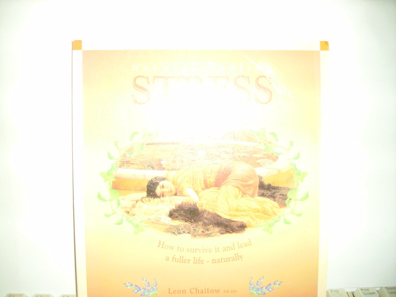 Natural Healing Stress - How to Survive it and Lead a fuller Life - Naturally book
