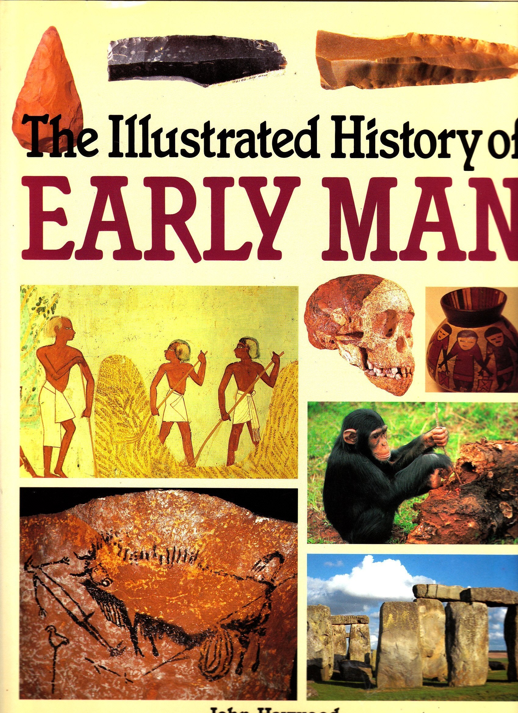 Illustrated History of Early Man Books