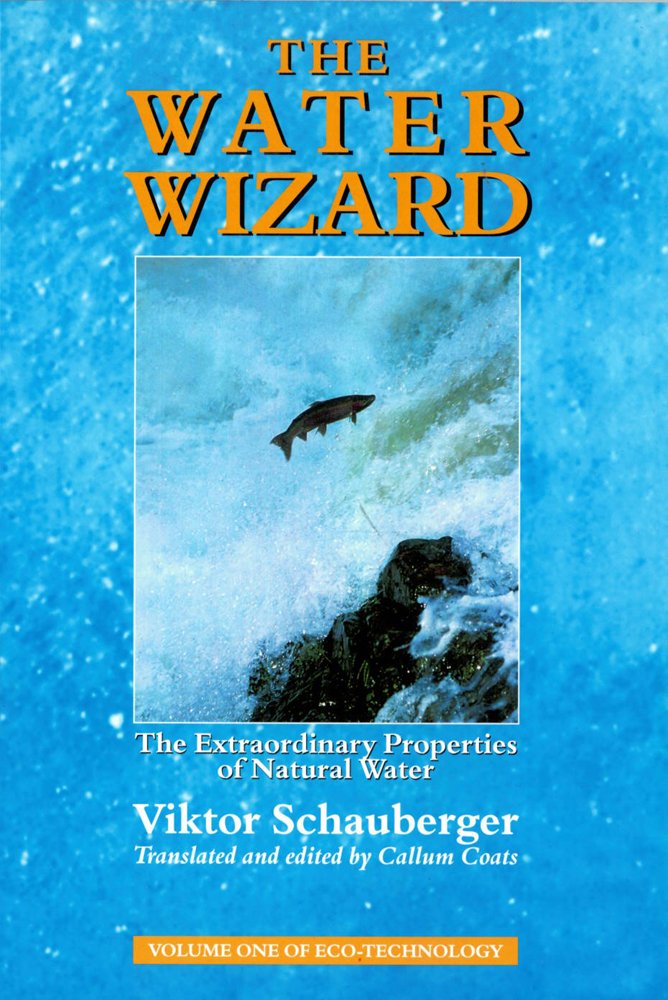 The Water Wizard: The Extraordinary Properties of Natural Water book