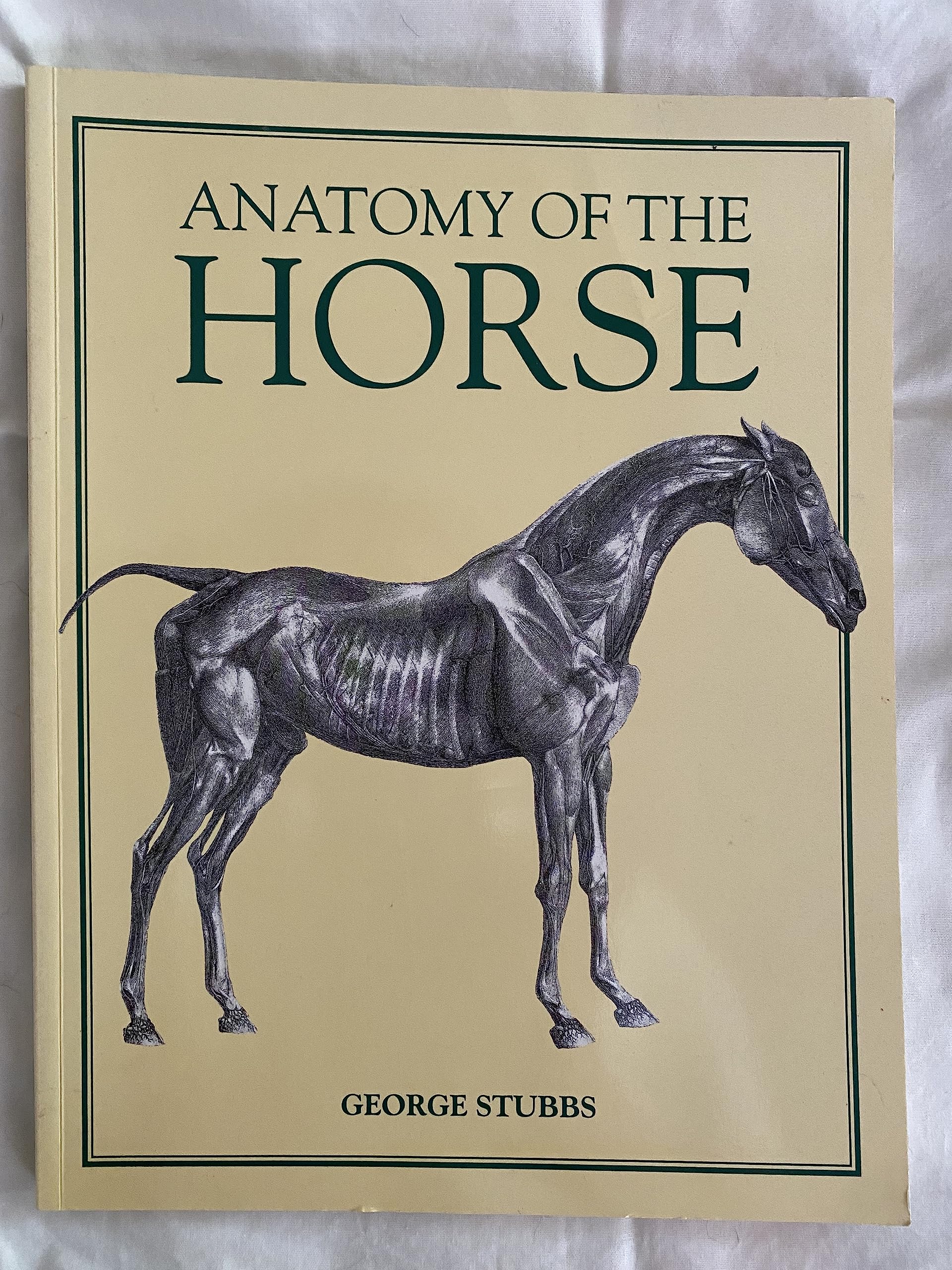 Anatomy of the Horse Medicine