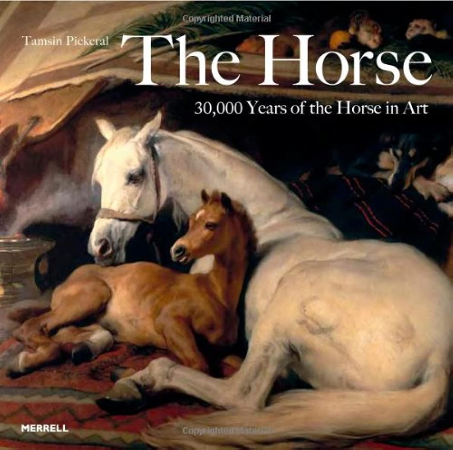 The Horse: 30,000 Years of the Horse in Art Social Sciences