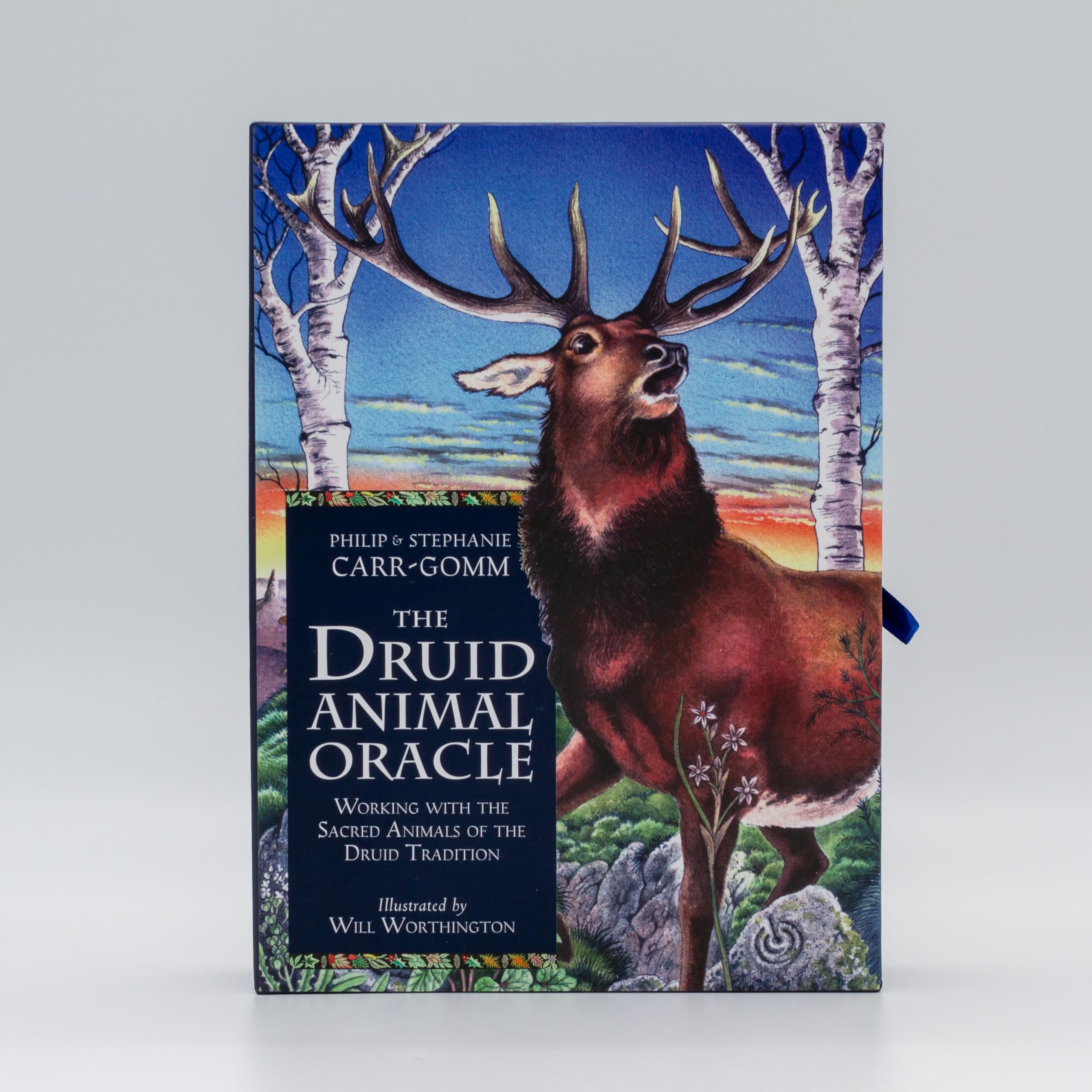 The Druid Animal Oracle: Working with the Sacred Animals of the Druid Tradition Media & Communication