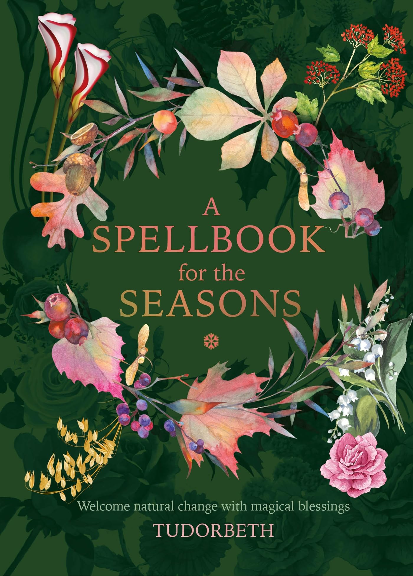 A Spellbook for the Seasons: Welcome natural change with magical blessings Religion & Esotericism