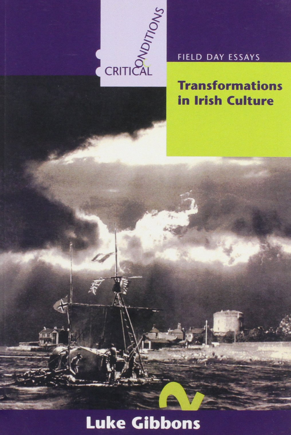 Transformations in Irish Culture (Critical Conditions: Field Day Essays) Books