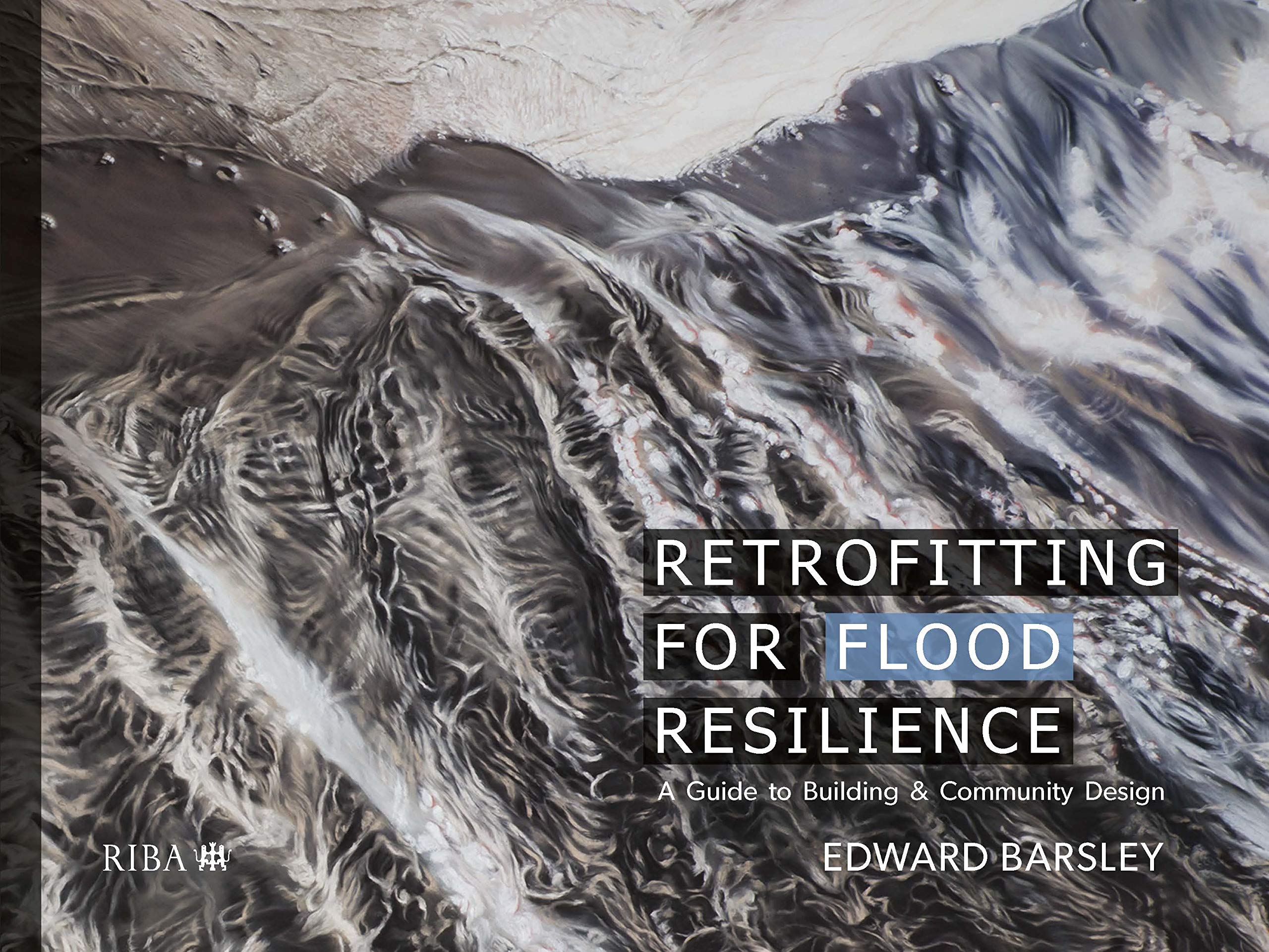 Retrofitting for Flood Resilience: A Guide to Building & Community Design Business, Finance & Career