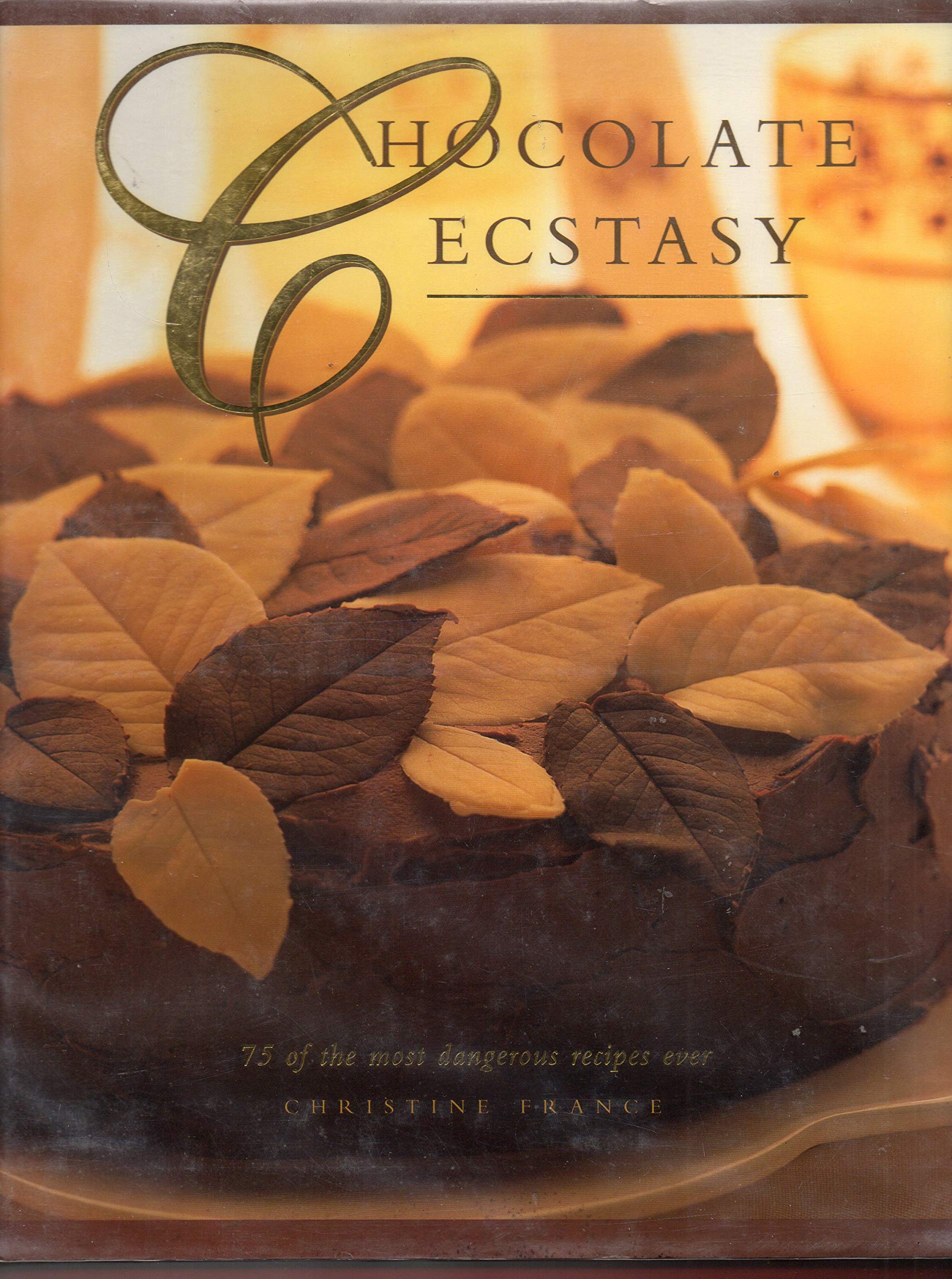 Chocolate Ecstasy: 75 Of the Most Dangerous Chocolate Recipes Ever: 75 of the Most Dangerous Recipes Ever Leisure, Home & Garden
