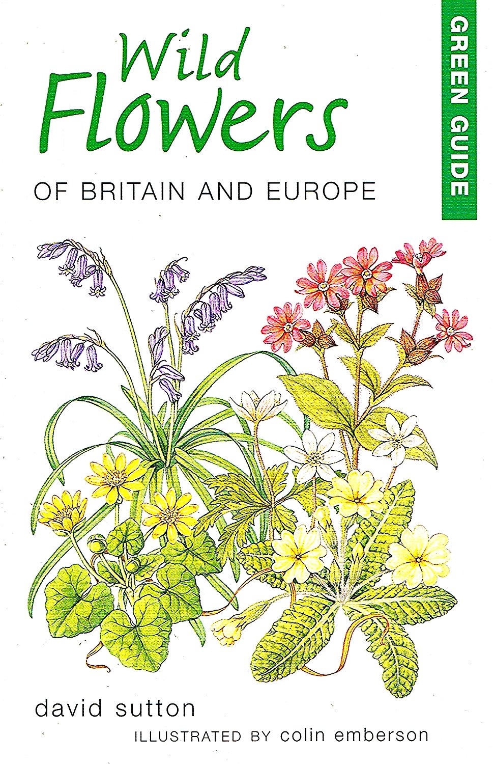 Green Guide Wild Flowers of Britian and Europe (Michelin Green Guides) Mathematics