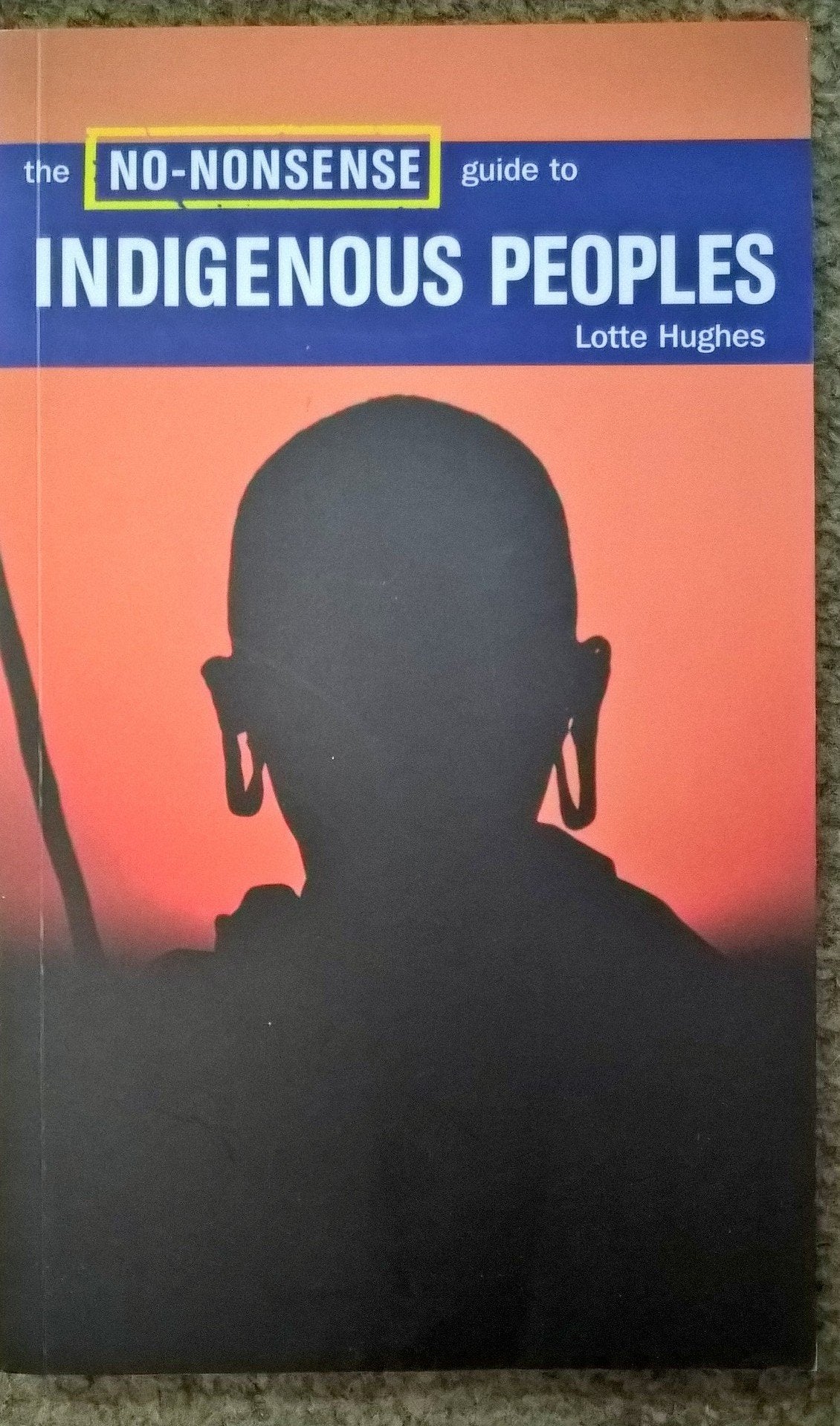 The No-Nonsense Guide to Indigenous Peoples Social Sciences