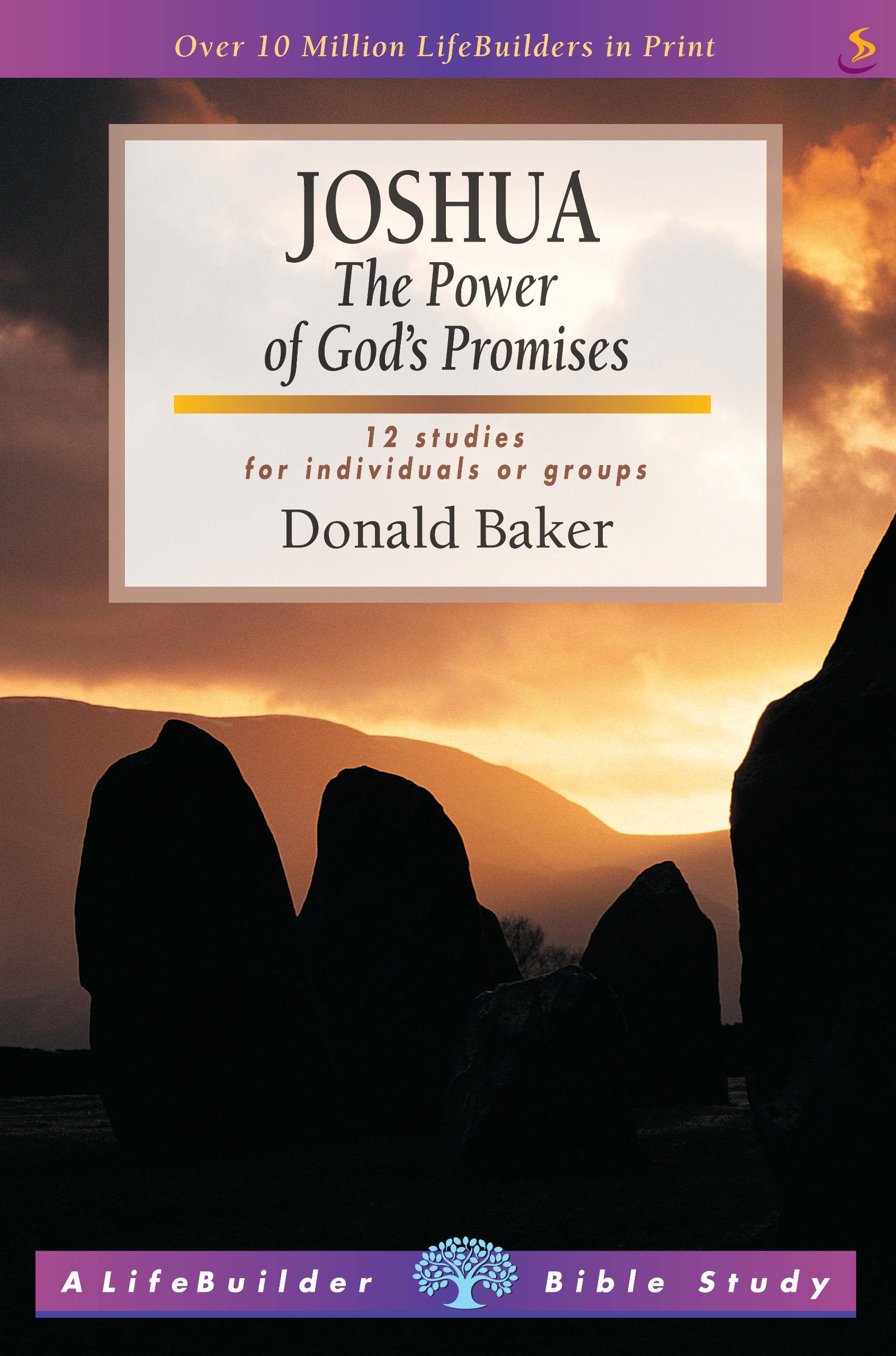 Joshua: The Power of God's Promises (LifeBuilder Bible Study) Social Sciences