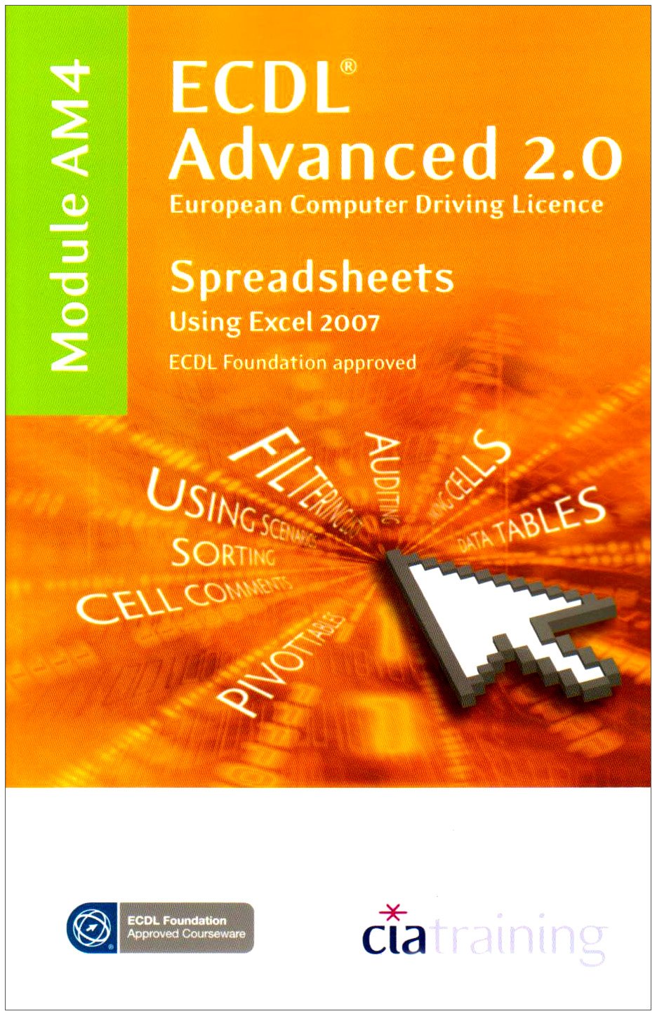 ECDL Advanced Syllabus 2.0 Module AM4 Spreadsheets Using Excel 2007 Computer Science