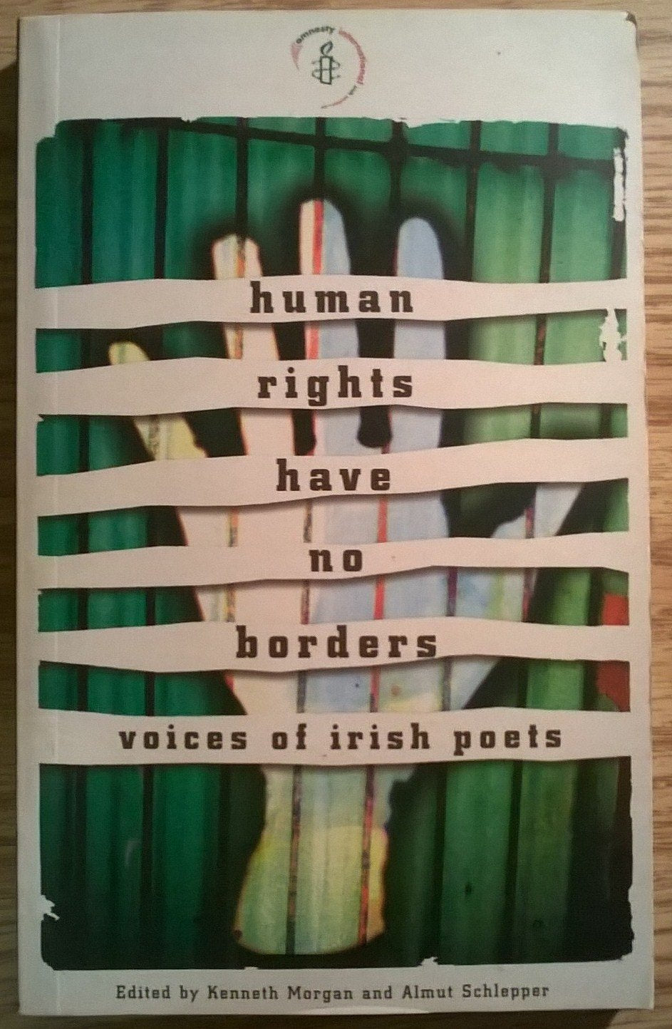 Human Rights Have No Borders: Voices of Irish Poets Poetry