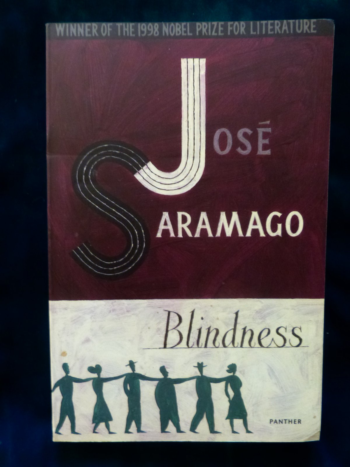 Blindness Contemporary literature Books