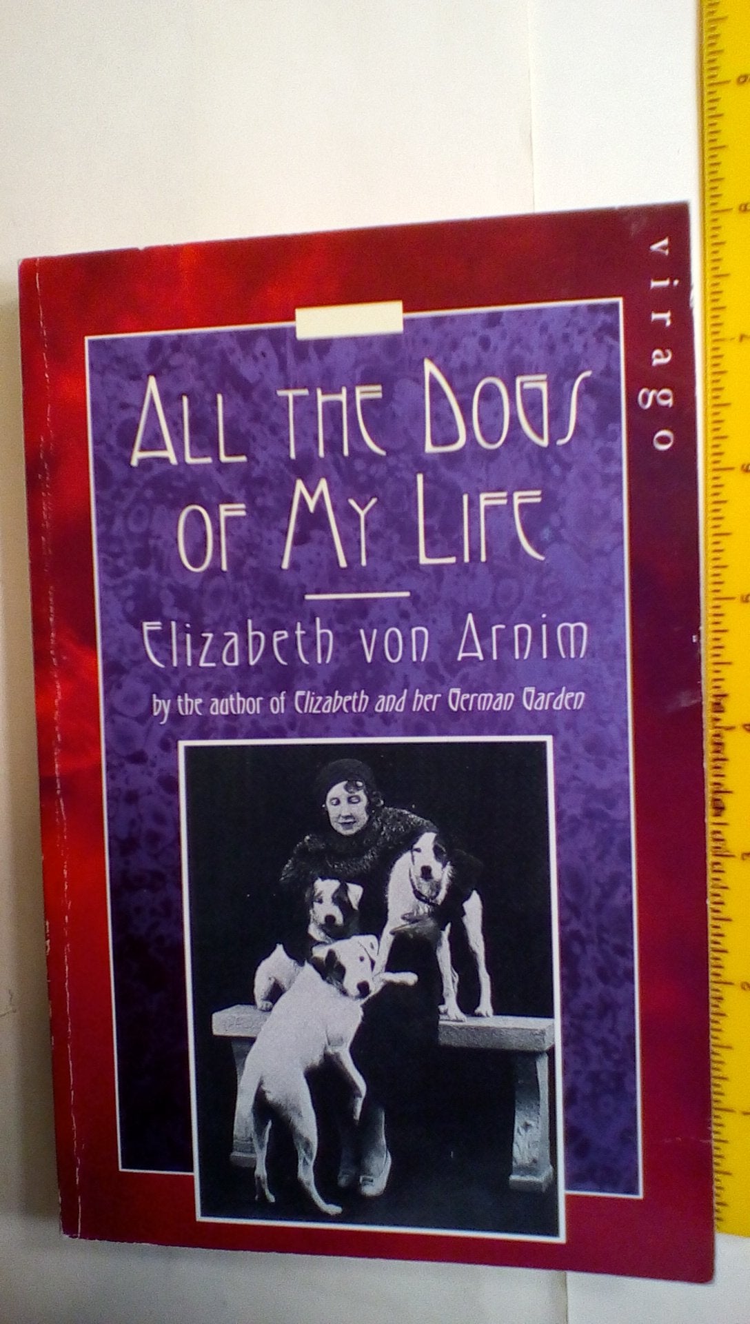 All the Dogs of My Life: A Virago Modern Classic Contemporary literature