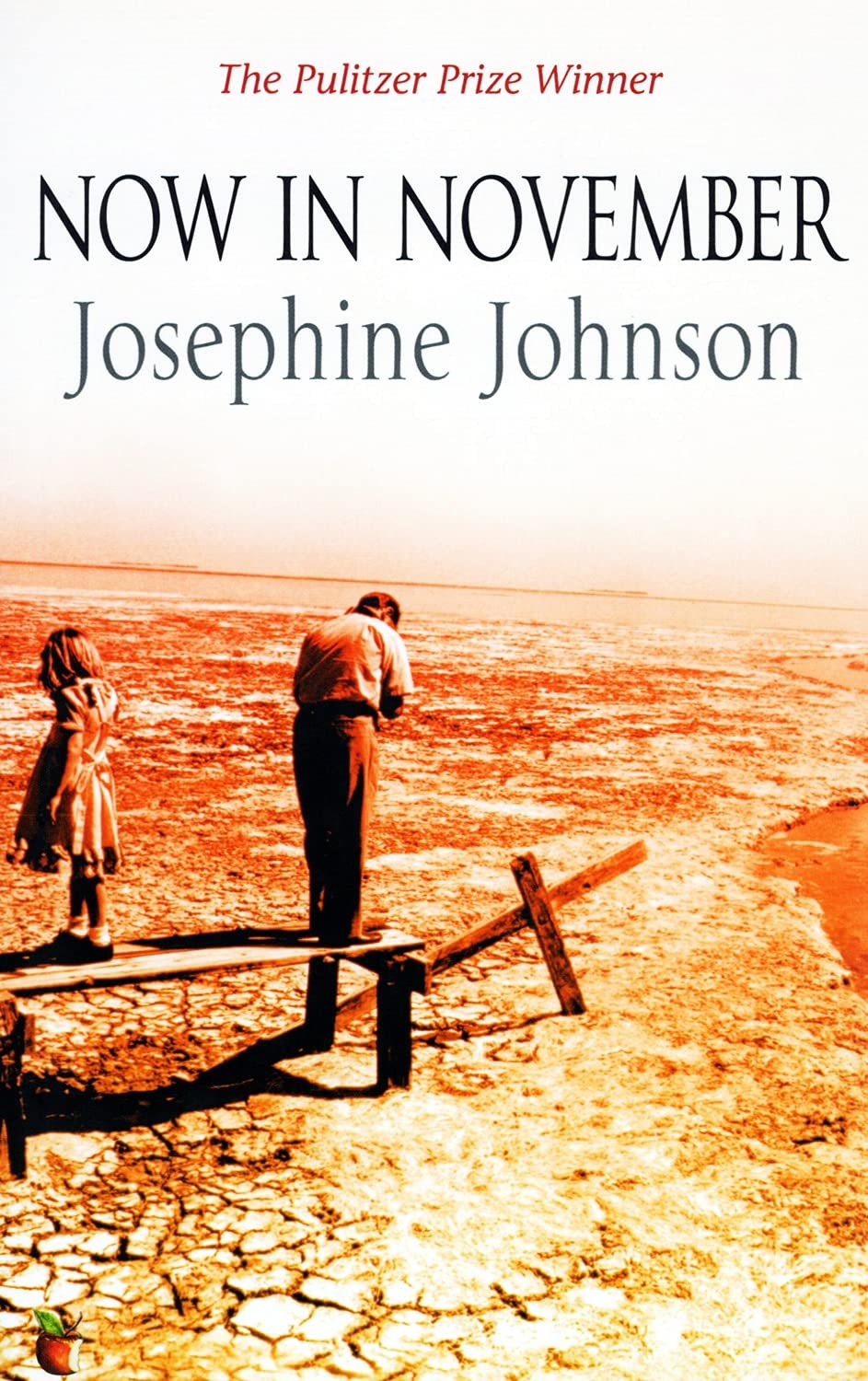 Now in November (VMC, Band 276) Contemporary literature