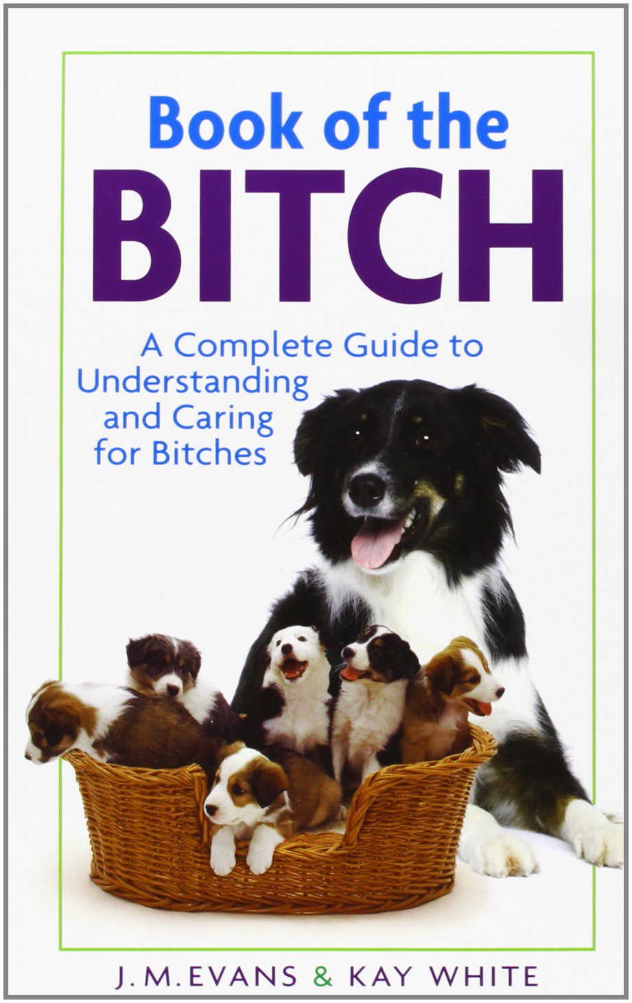 Product Image: Book of the Bitch