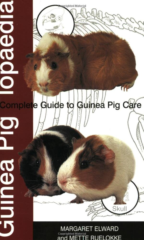 Guinea Piglopaedia: A Complete Guide to Guinea Pig Care book