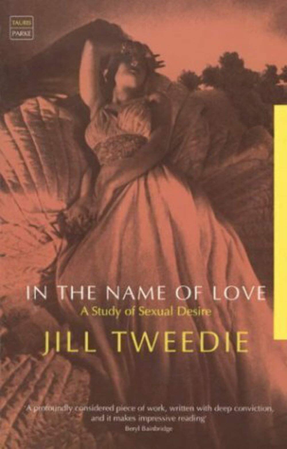 In the Name of Love: A Study of Sexual Desire (Tauris Parke Paperback S.) Philosophy