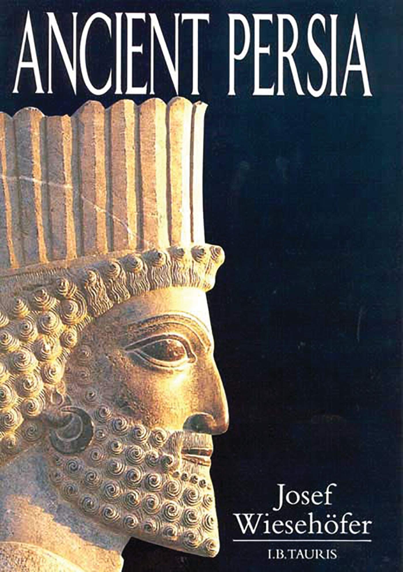 Ancient Persia: From 550 Bc to 650 Ad Social Sciences