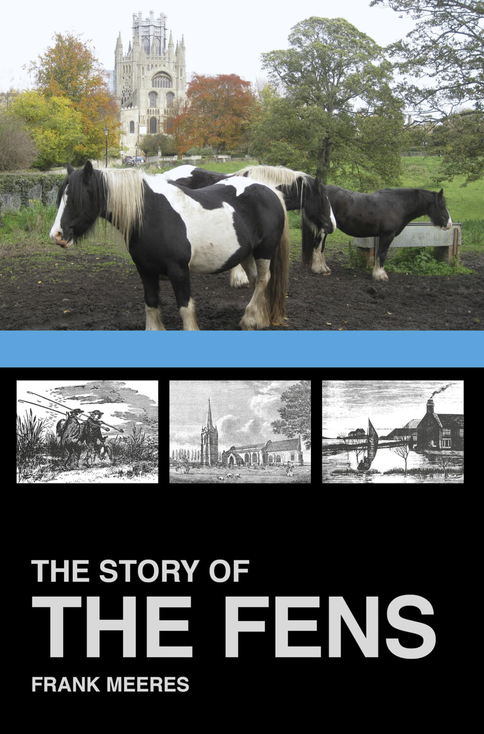 The Story of the Fens Mathematics