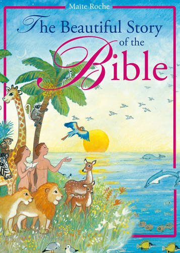 Beautiful Story of the Bible (CTS Children's Books) Non-fiction