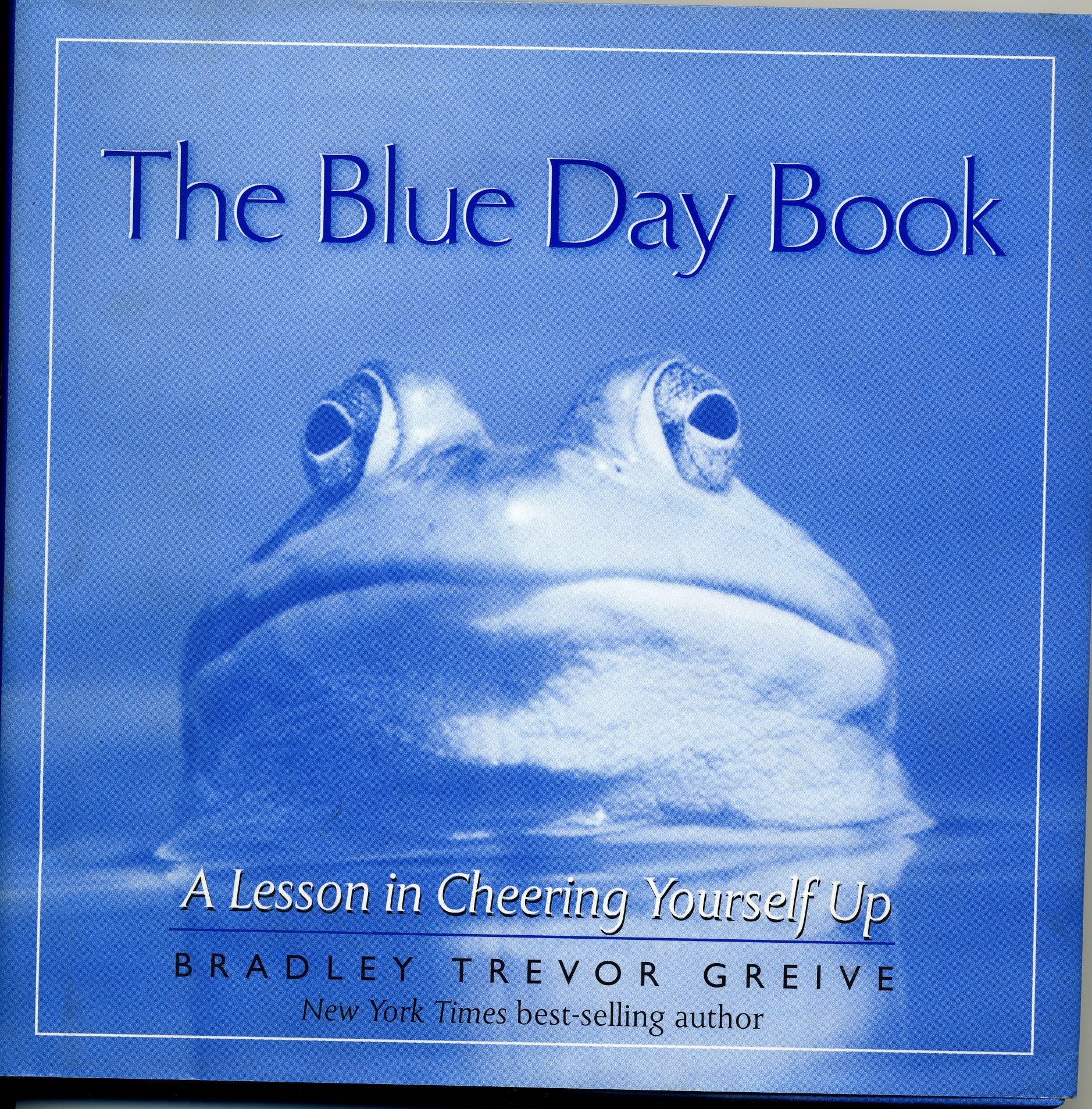 BLUE DAY BOOK Travel Books