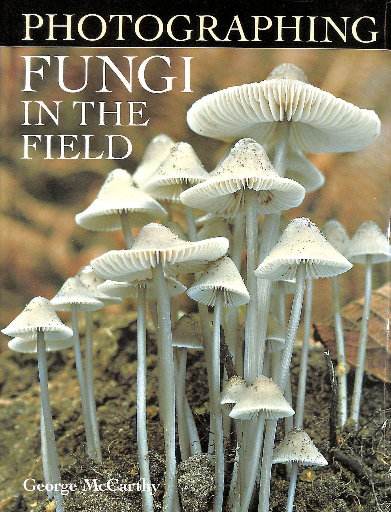 Photographing Fungi in the Field Travel