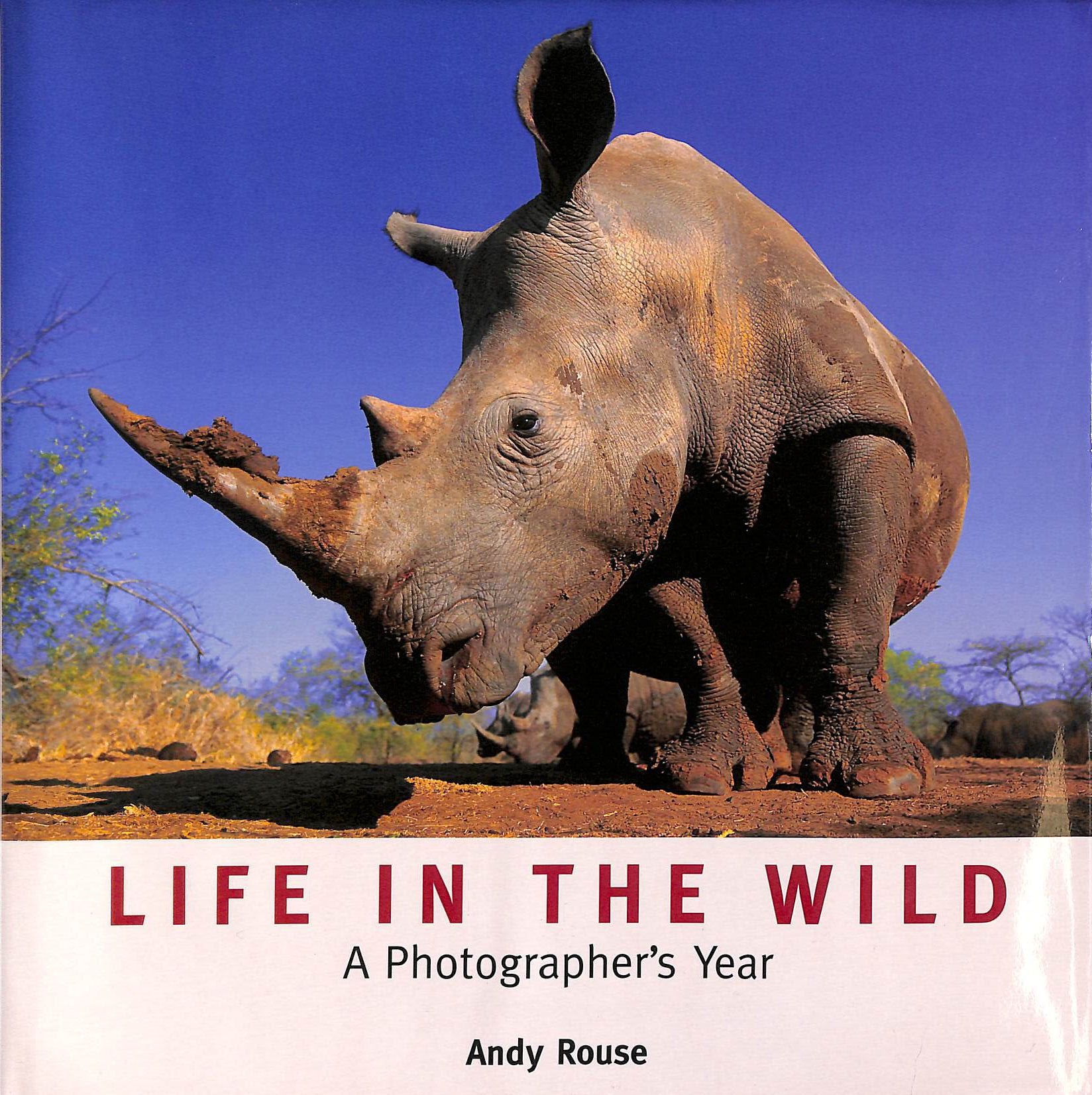 Life in the Wild: A Photographer's Year Mathematics