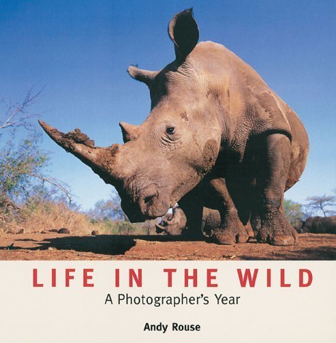 Life In The Wild: A Photographer's Year Mathematics