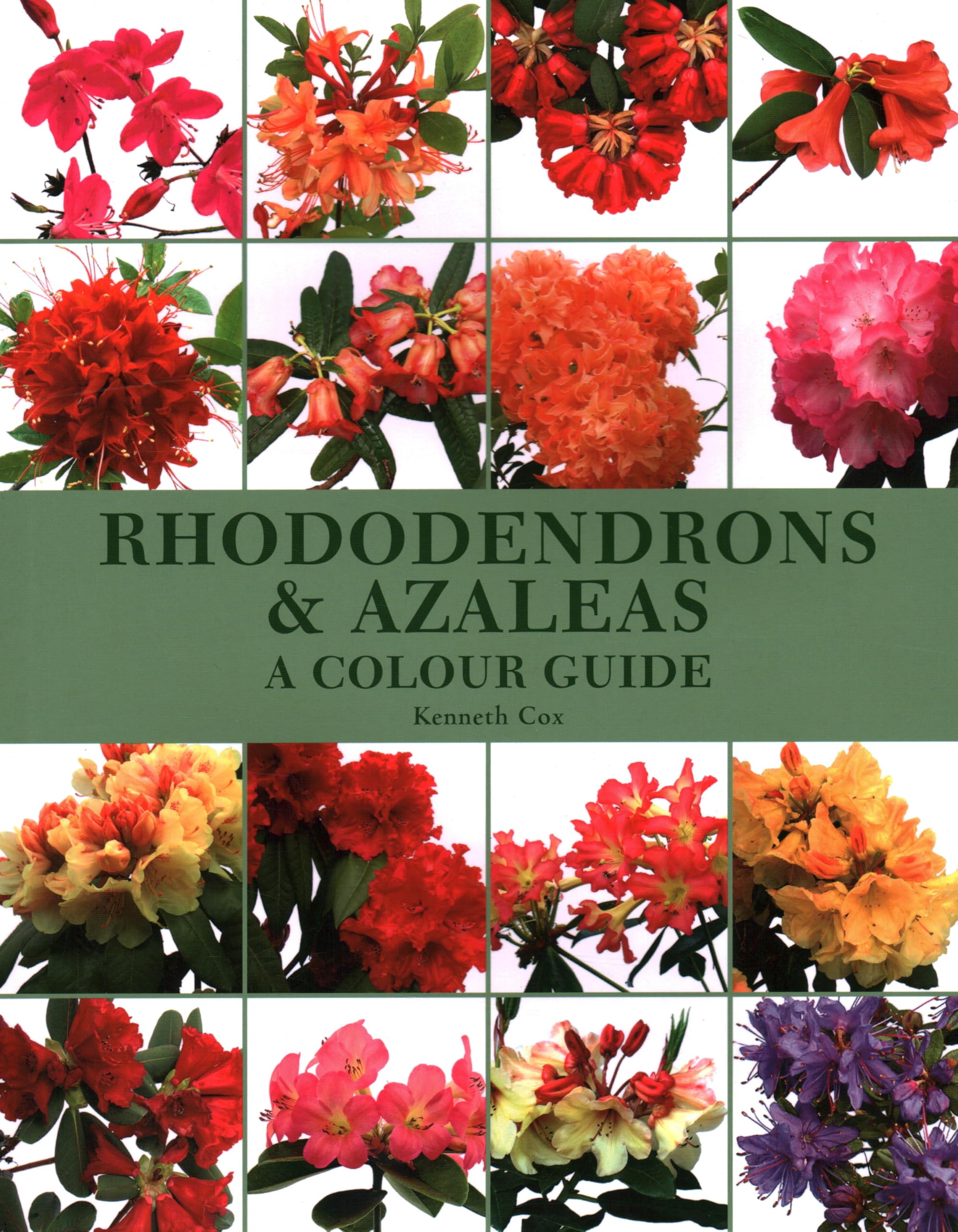 Product Image: Rhododendrons & Azaleas: a Colour Guide
