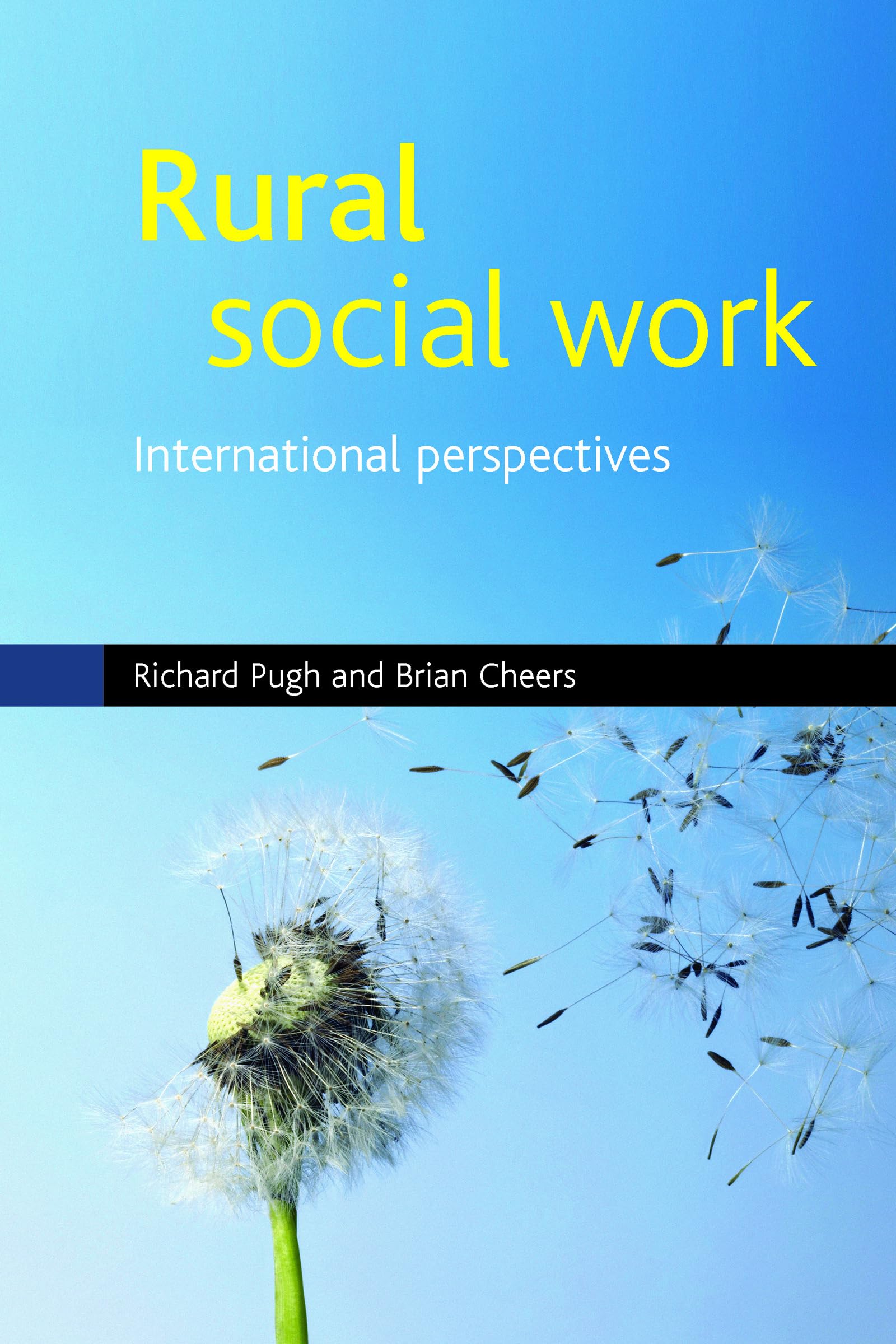Rural social work: An International Perspective (BASW/Policy Press Titles): International Perspectives Social Sciences
