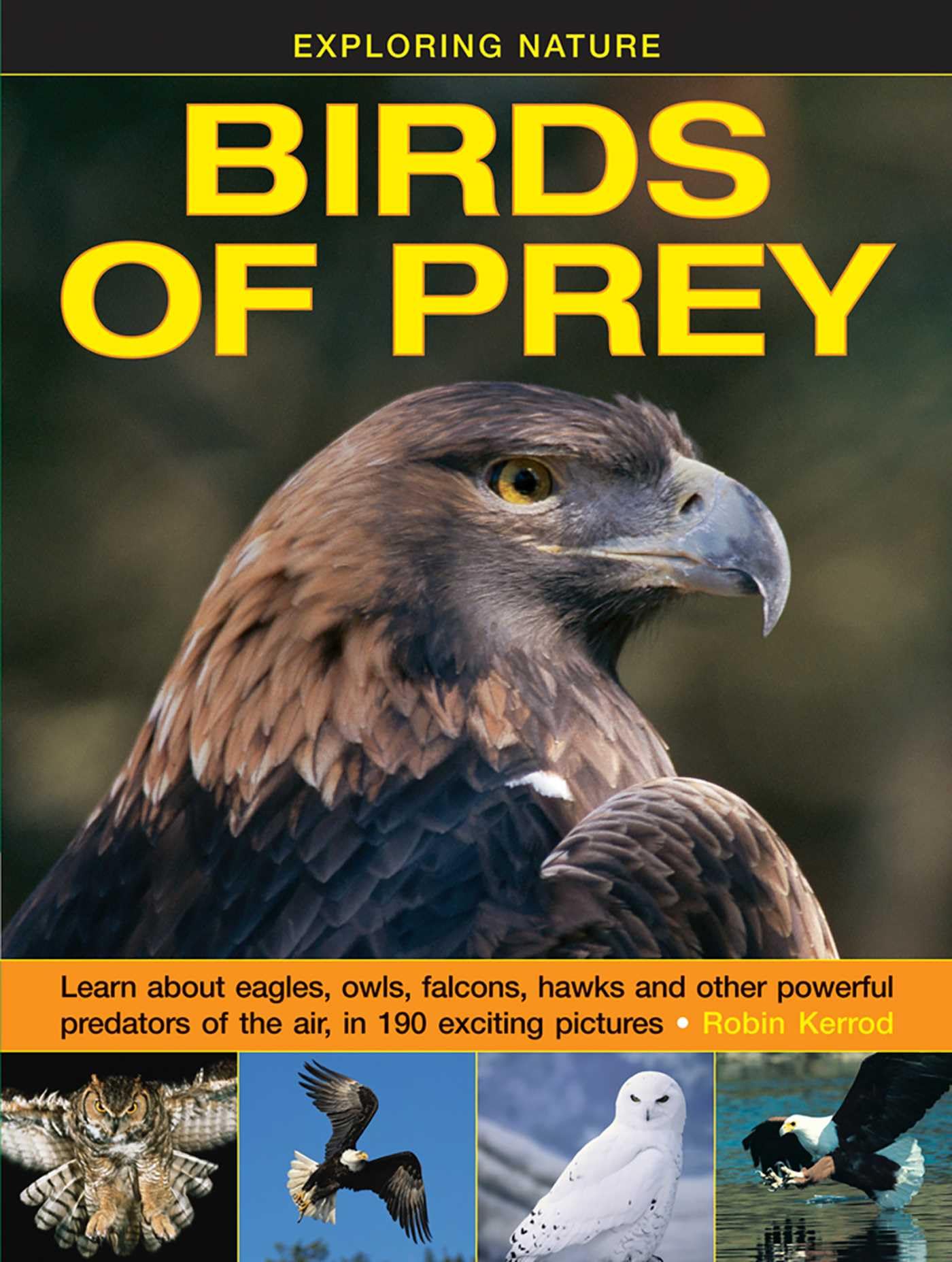 Exploring Nature: Birds of Prey: Learn About Eagles, Owls, Falcons, Hawks And Other Powerful Predators Of The Air, In 190 Exciting Pictures Non-fiction