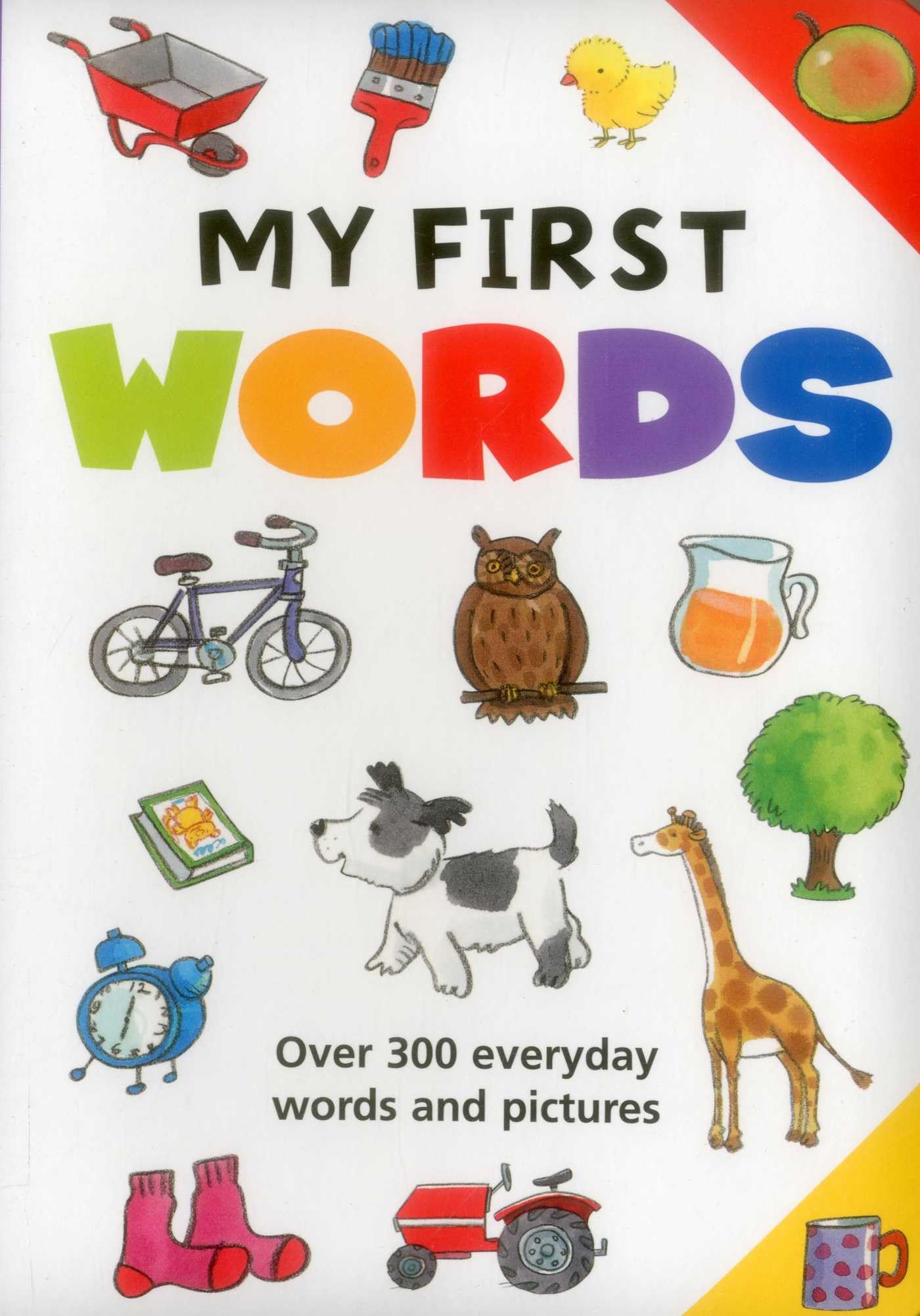 My First Words: Over 300 Everyday Words and Pictures Non-fiction