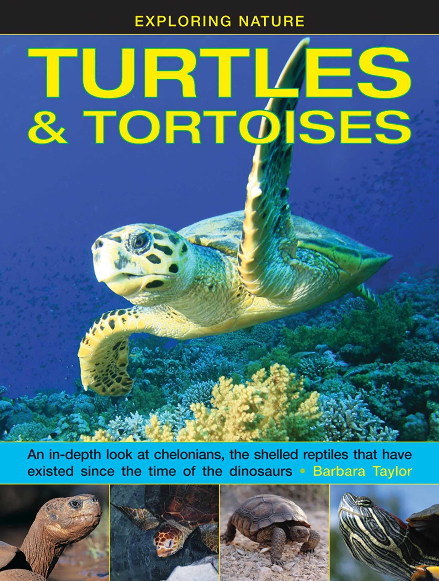 Exploring Nature: Turtles & Tortoises: An in-Depth Look at Chelonians, the Shelled Reptiles That Have Existed Since the Time of Dinosaurs: An In-depth ... Have Existed Since the Time of the Dinosaurs Non-fiction