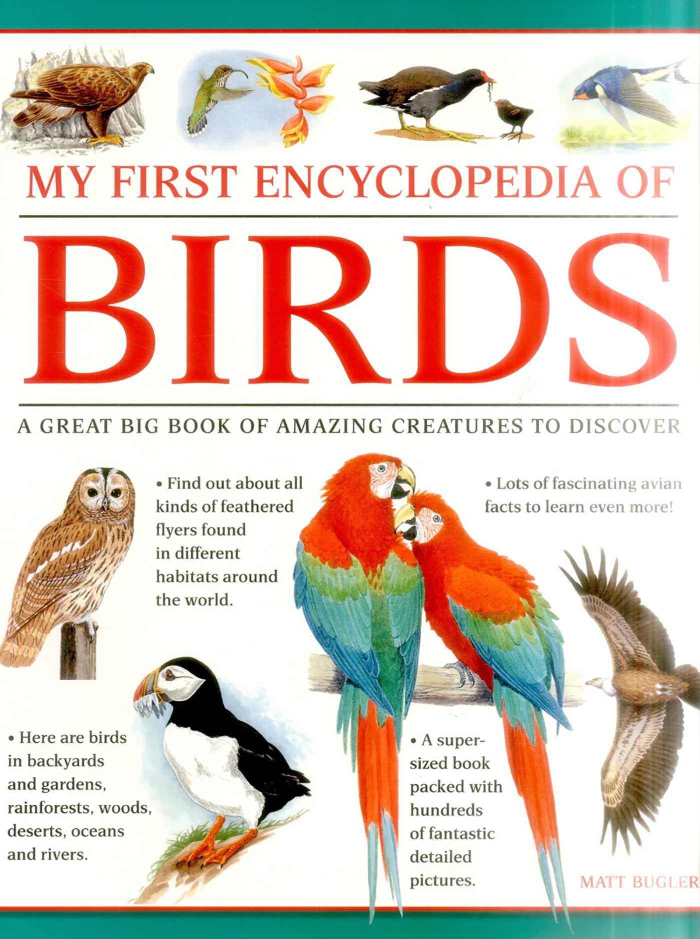 My First Encylopedia of Birds (giant Size): A First Encyclopedia with Supersize Pictures Non-fiction