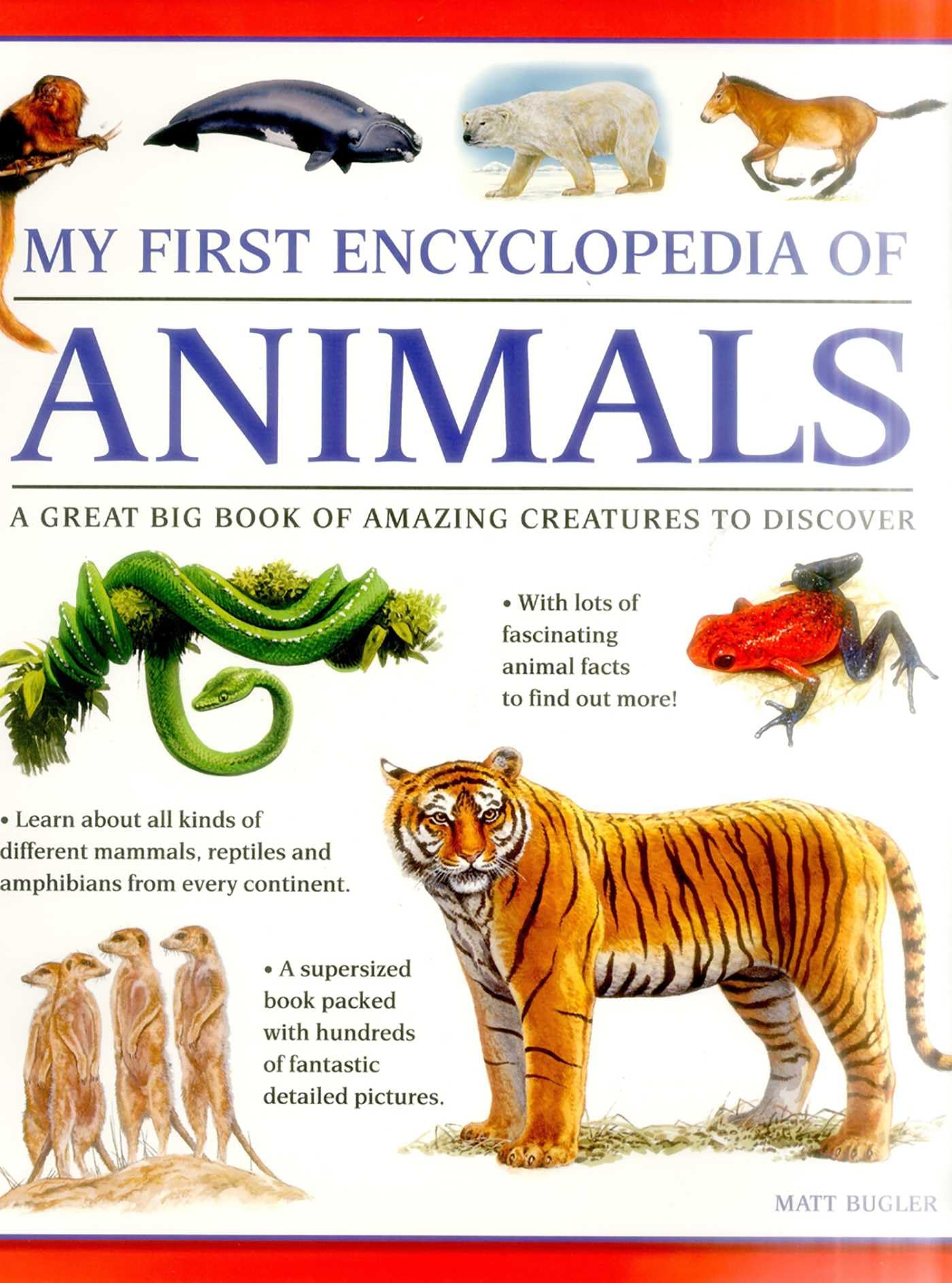 My First Encyclopedia of Animals (giant Size): A First Encyclopedia with Supersize Pictures Reference Books