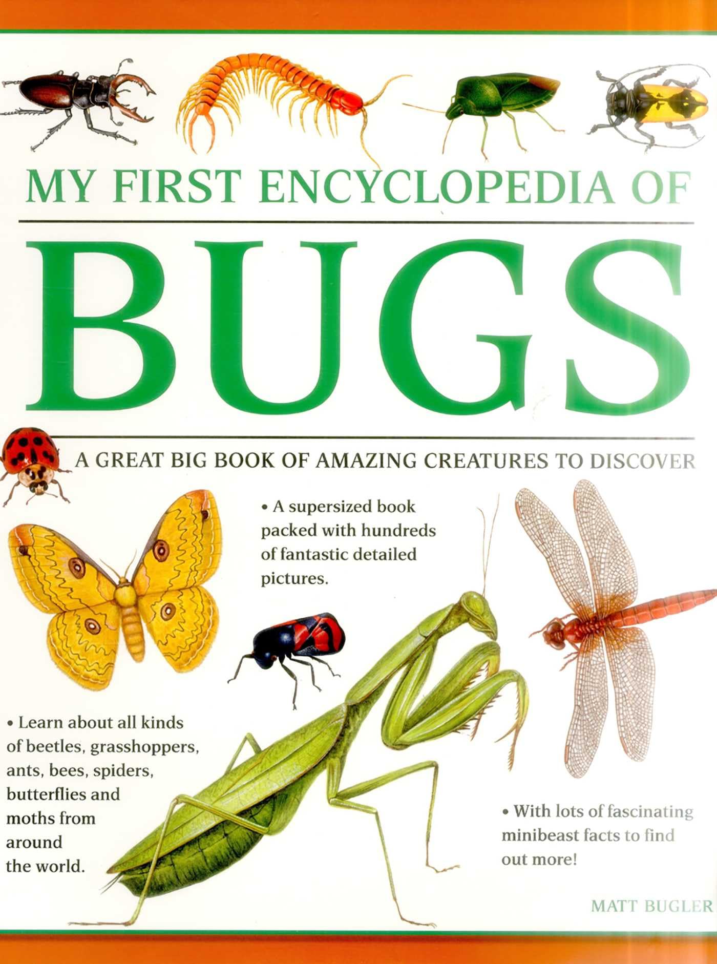 My First Encyclopedia of Bugs (giant Size): A First Encyclopedia with Supersize Pictures: A Great Big Book of Amazing Creatures to Discover Learning & Reference