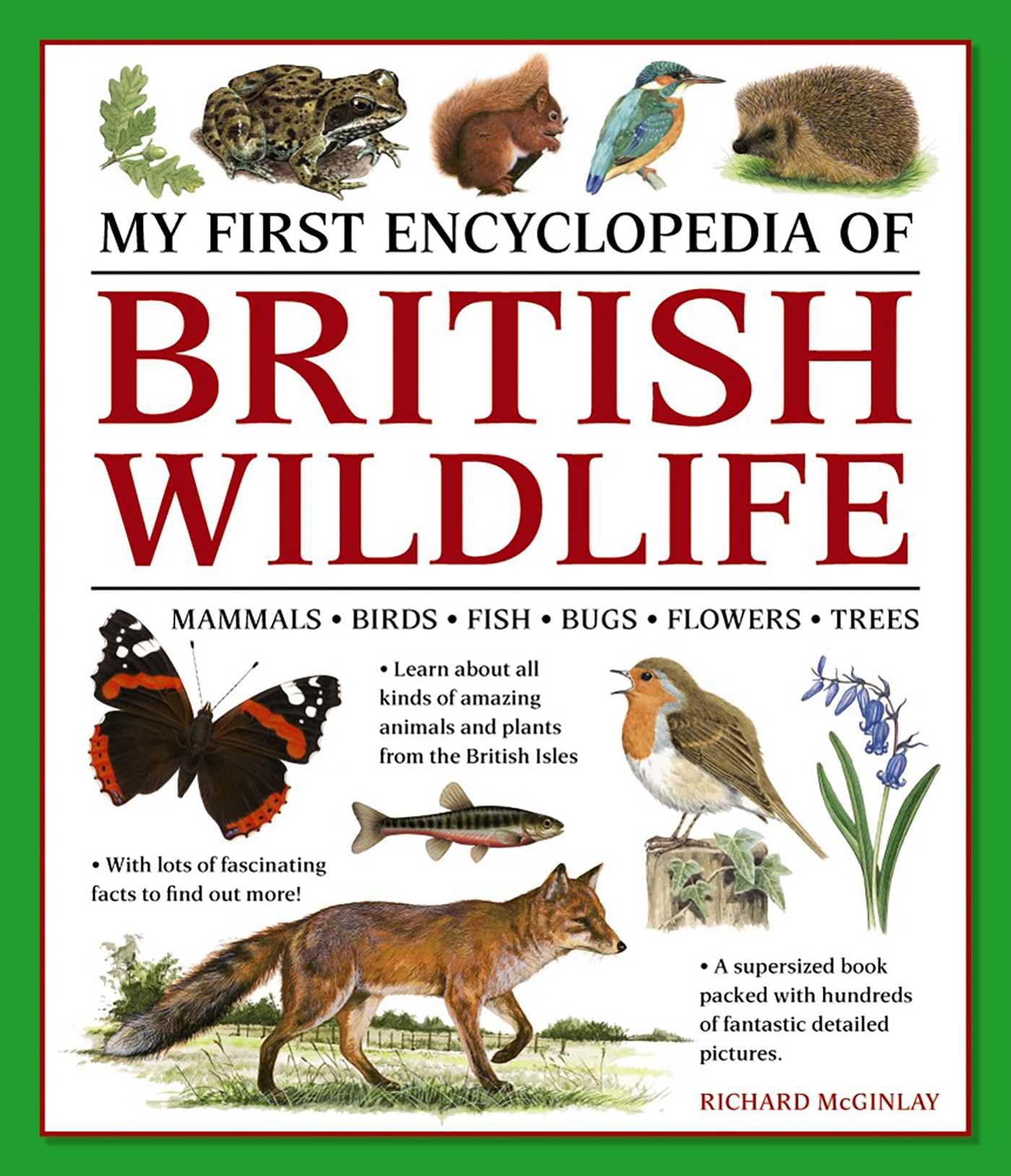 My First Encyclopedia of British Wildlife: Mammals, Birds, Fish, Bugs, Flowers, Trees Non-fiction
