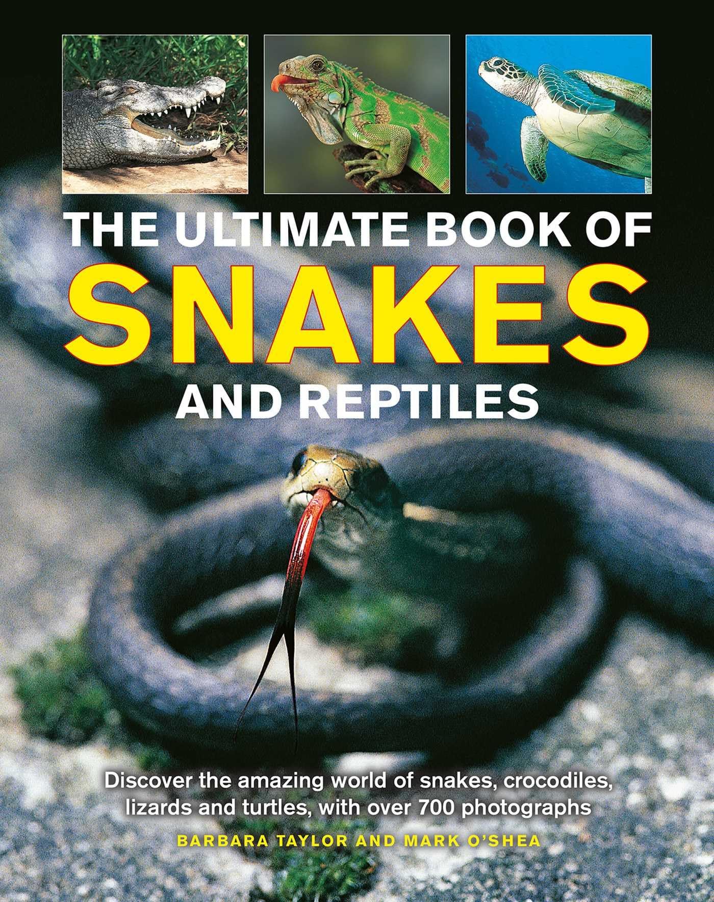 Ultimate Book of Snakes and Reptiles: Discover The Amazing World Of Snakes, Crocodiles, Lizards And Turtles, With Over 700 Photographs And Illustrations Mathematics