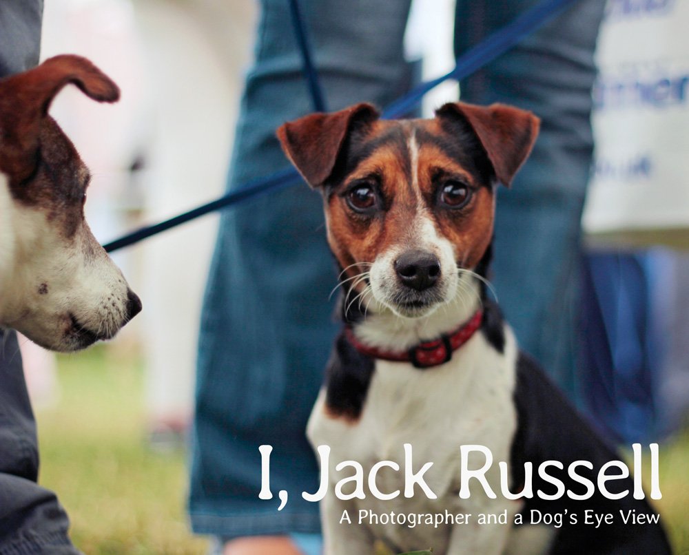 I, Jack Russell: A Photographer and a Dog's Eye View Travel