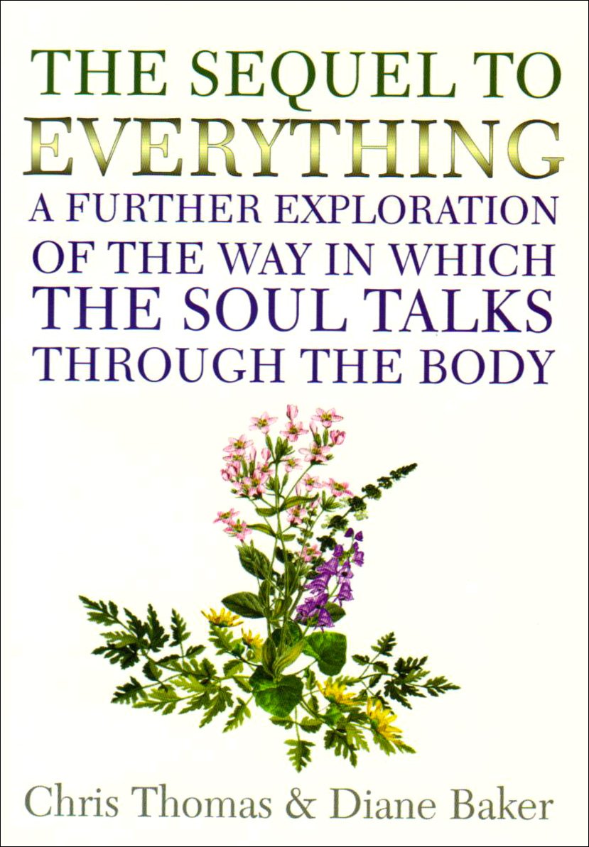 The Sequel to Everything: A Further Exploration of the Way in Which the Soul Talks Through the Body book