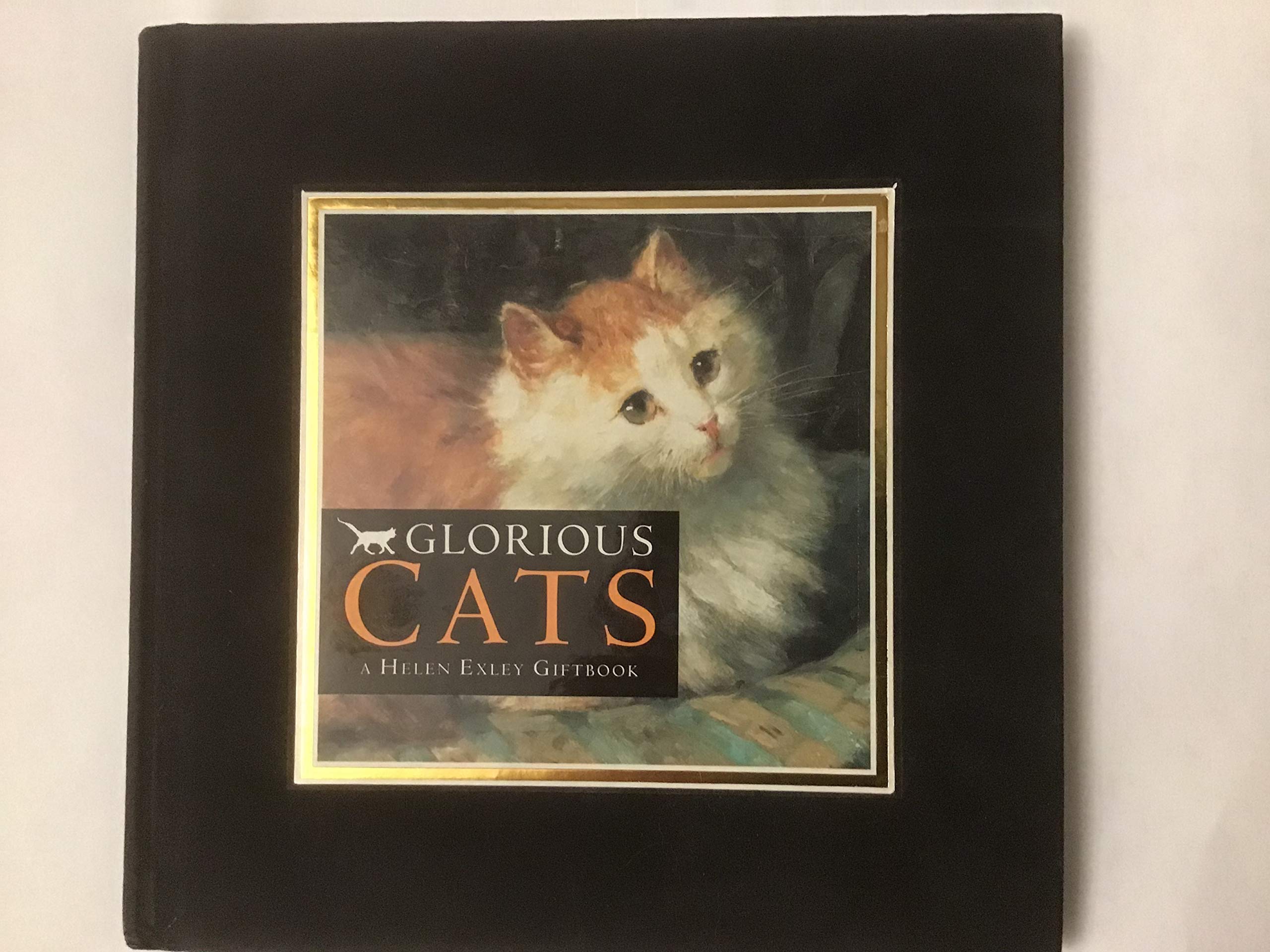 Glorious Cats Pets