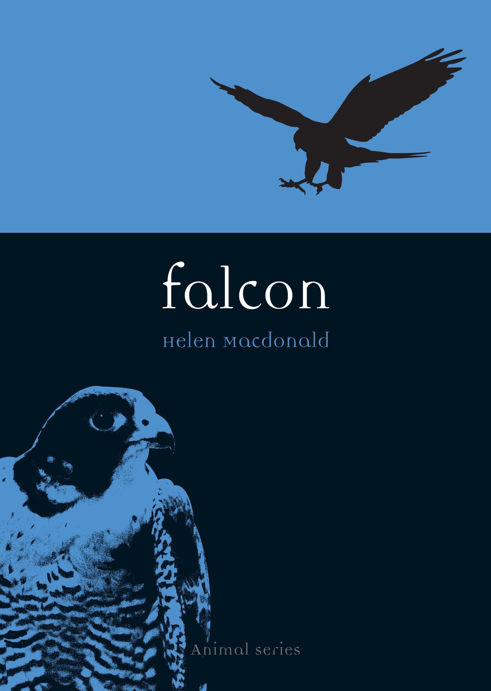Falcon (Reaktion Books - Animal) Mathematics