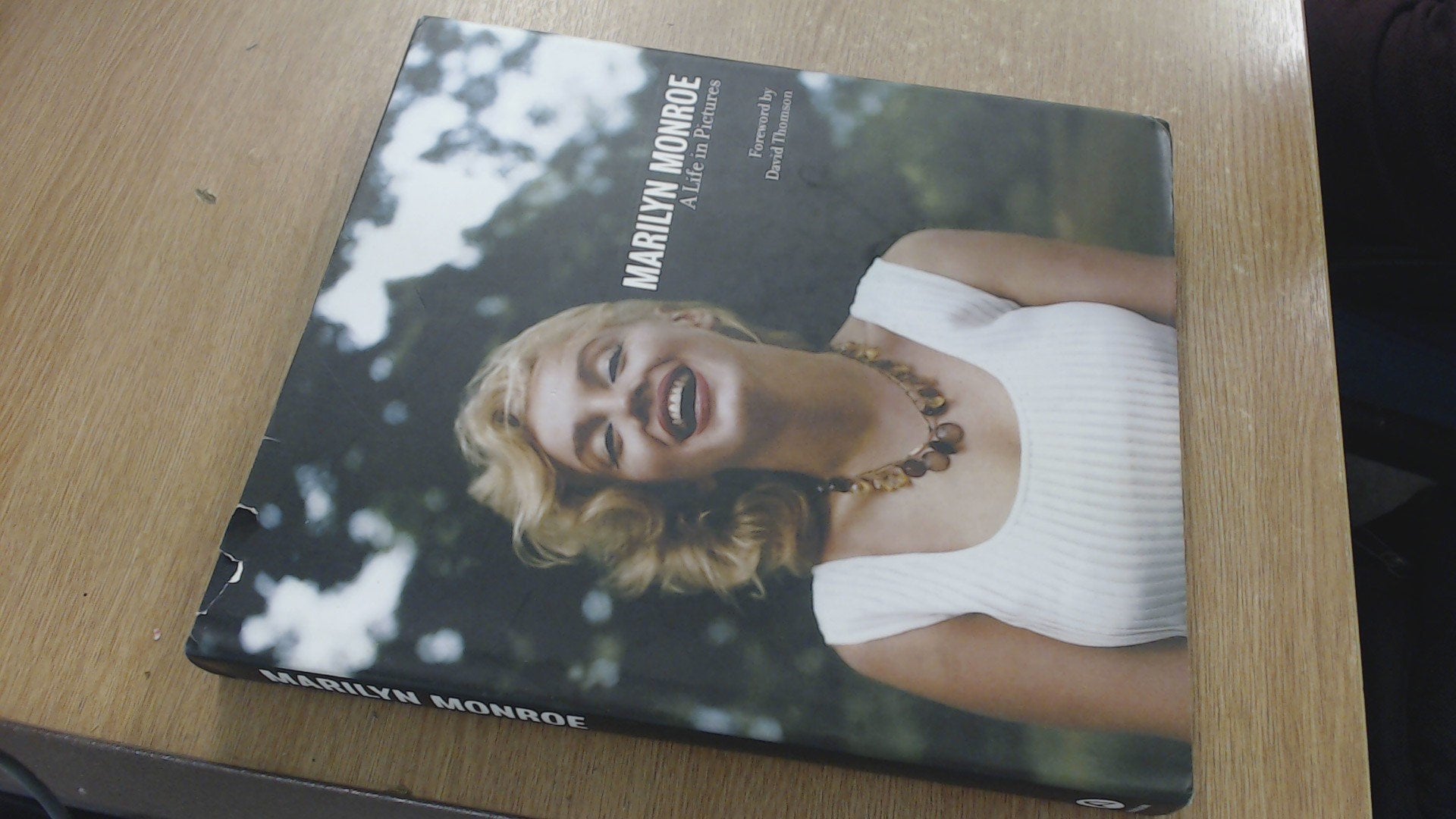 Marilyn Monroe A Life in Pictures book