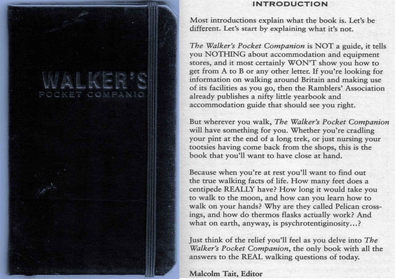 The Walker's Pocket Companion (Pocket Companions) Travel
